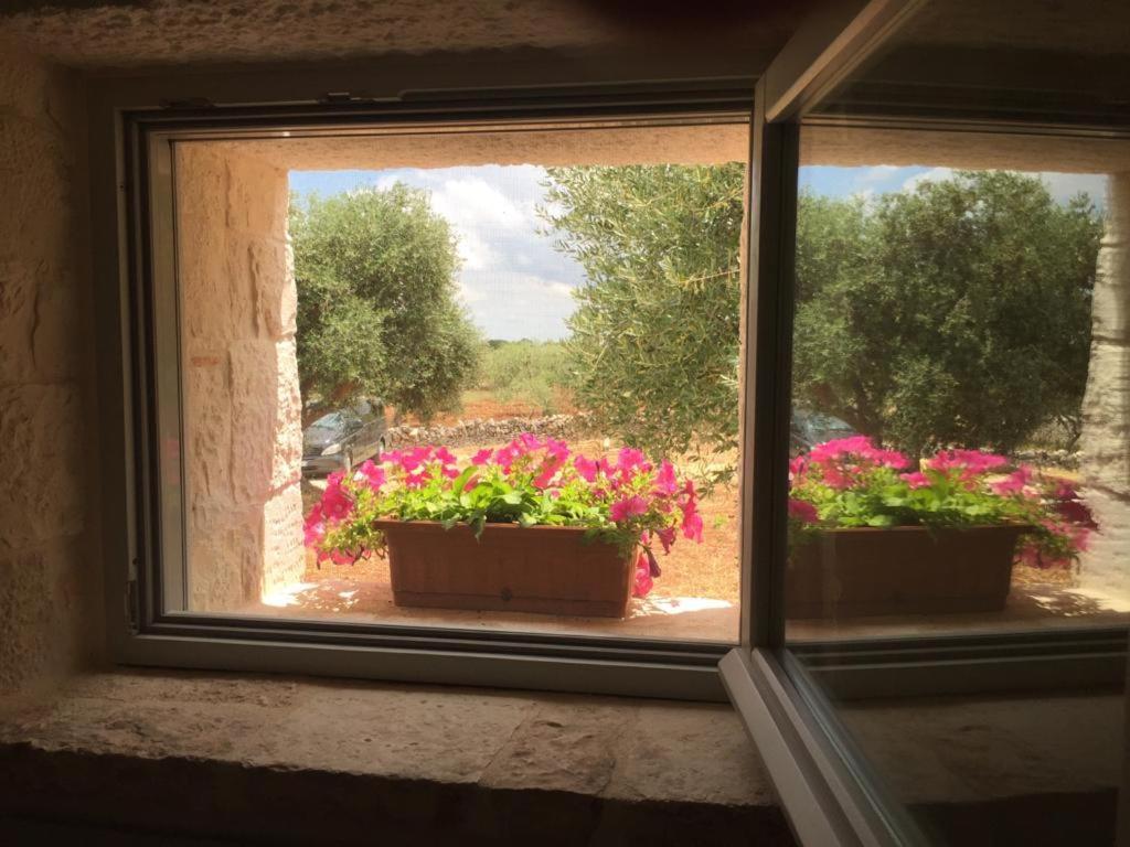 Trullo Masso Antico Villa Alberobello Ngoại thất bức ảnh